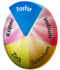 fosfor